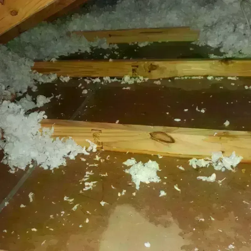 Attic Water Damage in Smith County, TX