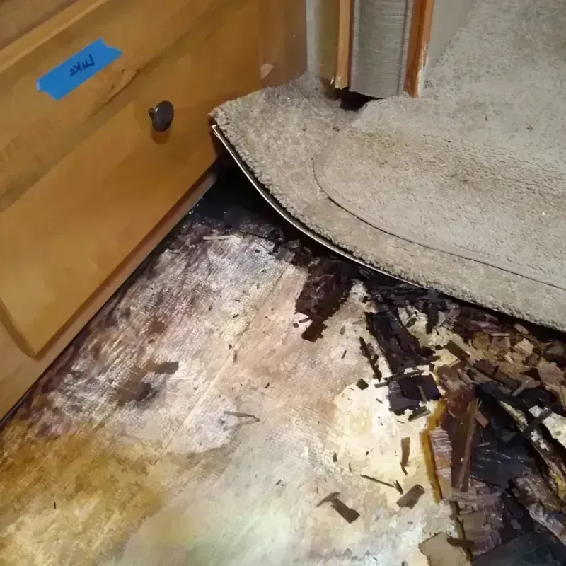 Wood Floor Water Damage in Smith County, TX